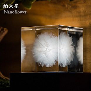 纳米花