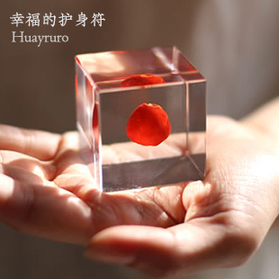 Solacube海红豆