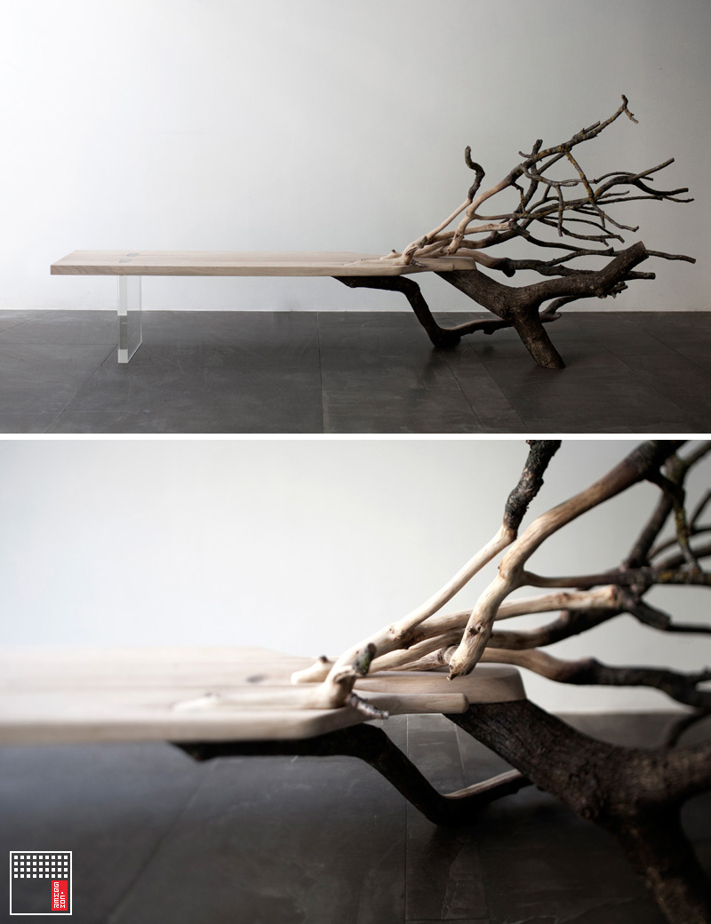 Fallen-Tree-Bench3